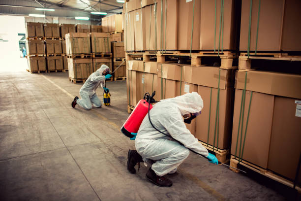 Professional Pest Control in Akron, OH