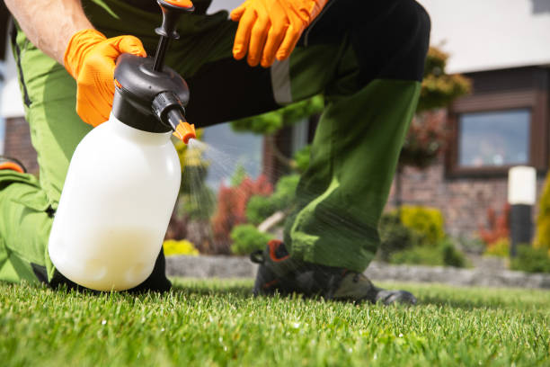 Best Best Pest Control Companies  in Akron, OH