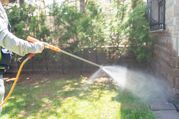 Best Mosquito Control Services  in Akron, OH