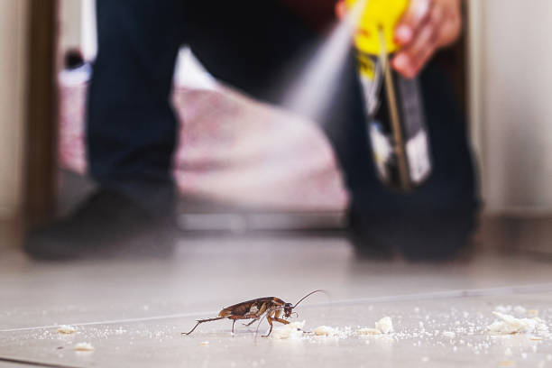 Best Pest Inspection Near Me  in Akron, OH